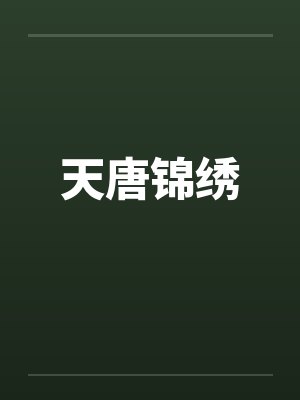 天唐锦绣封面