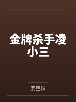 金牌杀手凌小三封面