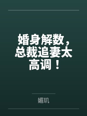 婚身解数，总裁追妻太高调！by媚玑封面