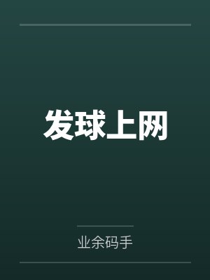 发球上网封面