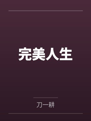 完美人生封面
