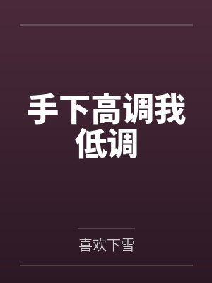 手下高调我低调封面